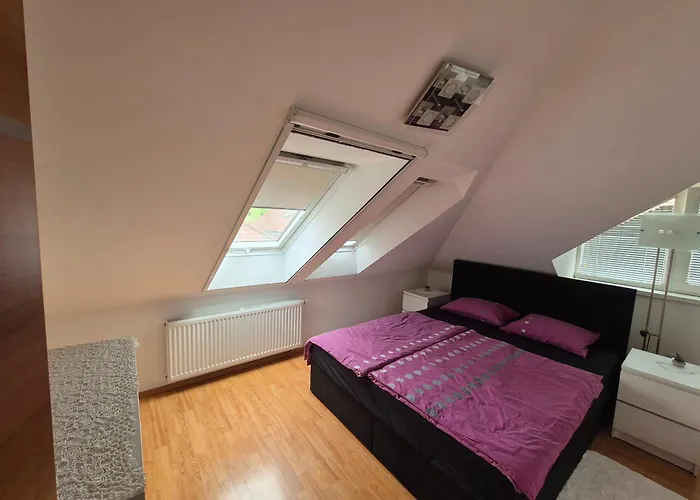 Oddih V Mirnem In Zelenem Okolju *